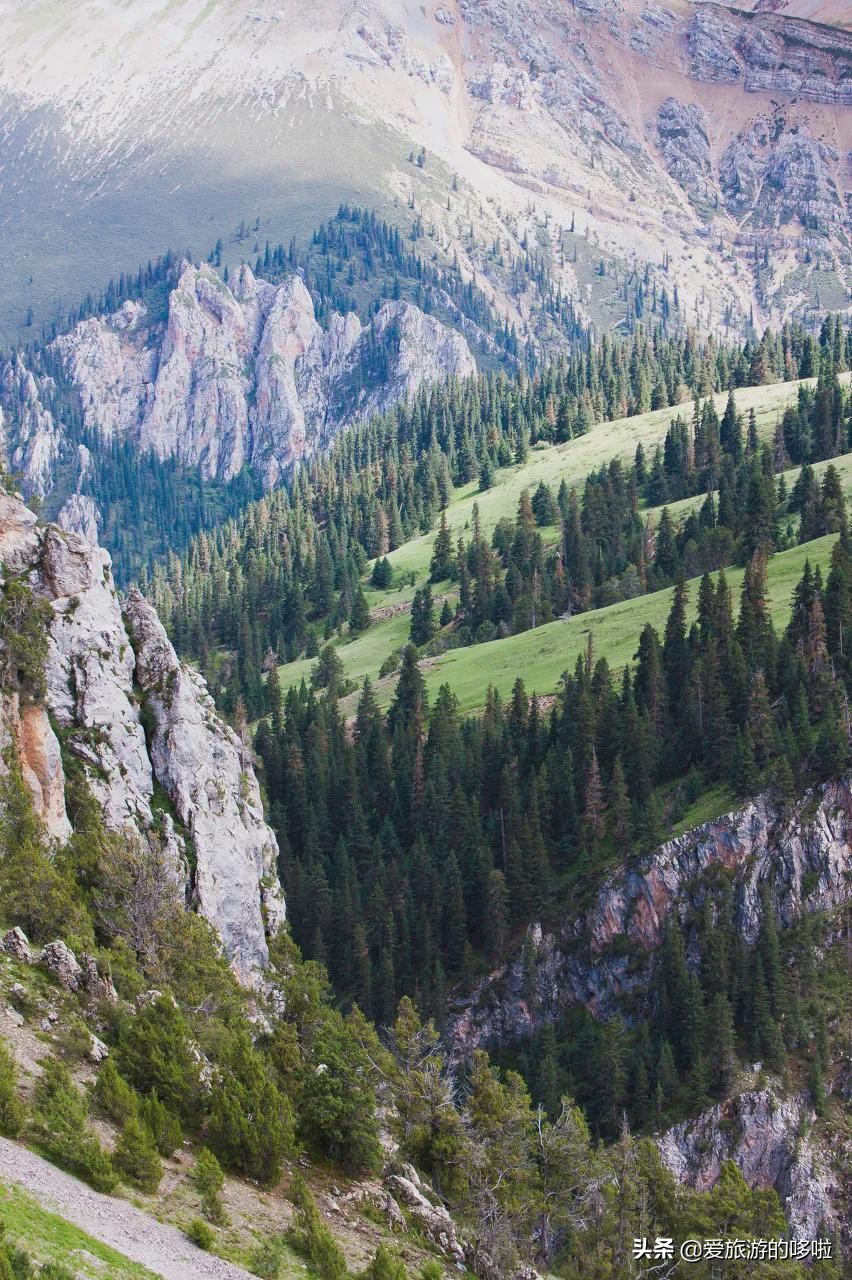 青海值得旅游的地方 青海湖最佳旅游月份(圖24)