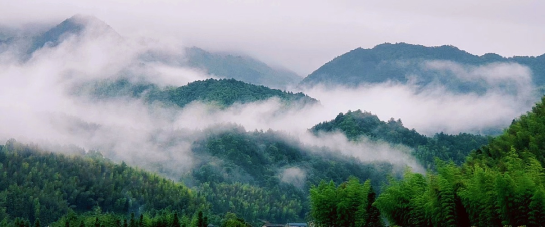 人均300+这个避暑胜地堪称“中国最美后花园”，