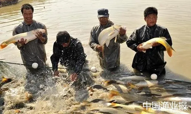 水产养殖智慧化不能照搬技术