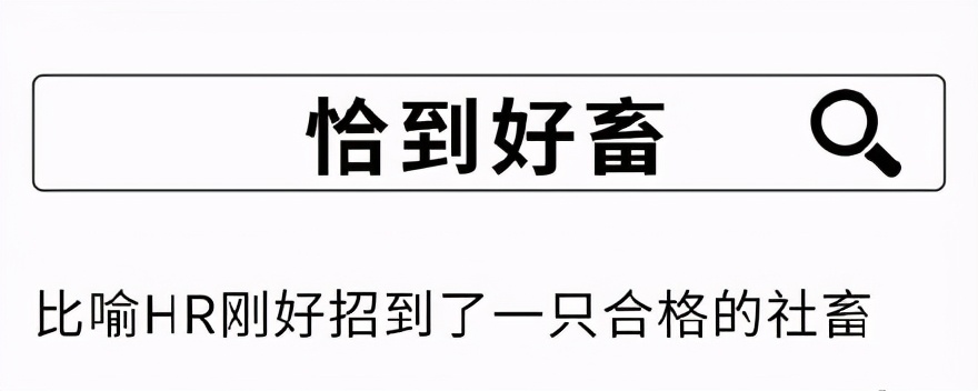 当代社畜的身体变化 啊 我要变身啦 其他 蛋蛋赞
