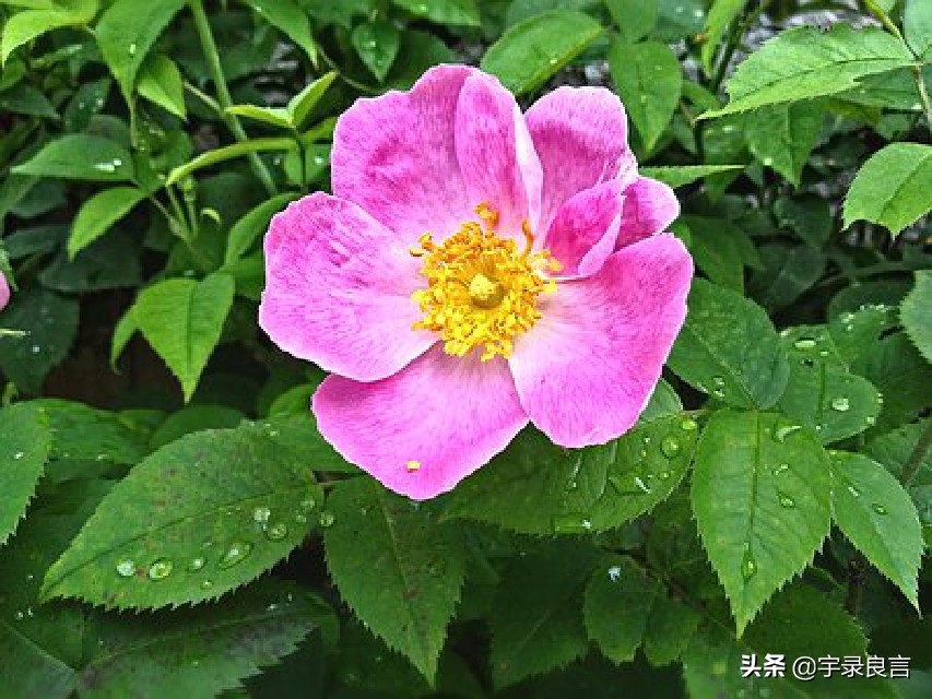 人生深奥哲理感悟句子图片