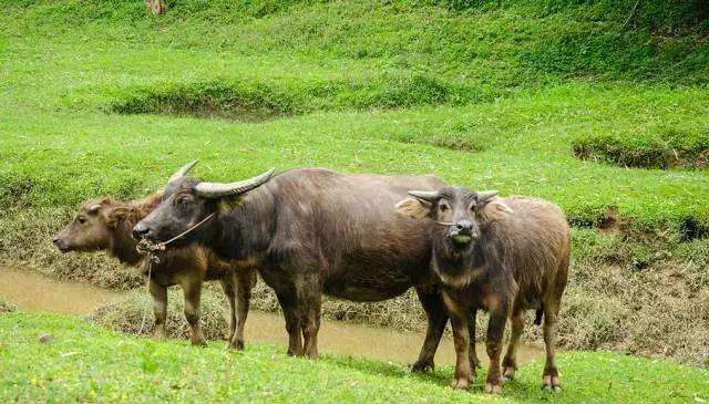 Ŵյô࣬ΪʲôũɱҲȥѻĵأ