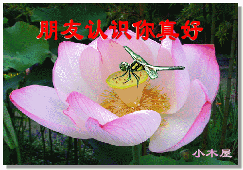 晚上好问候语 晚安问候语图片图片