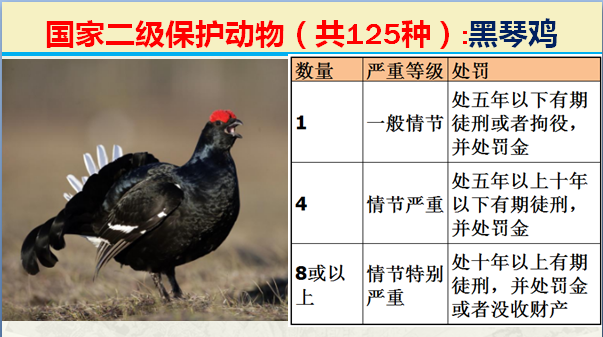 国家最新125类二级野生保护名录，图片及违法对应刑责