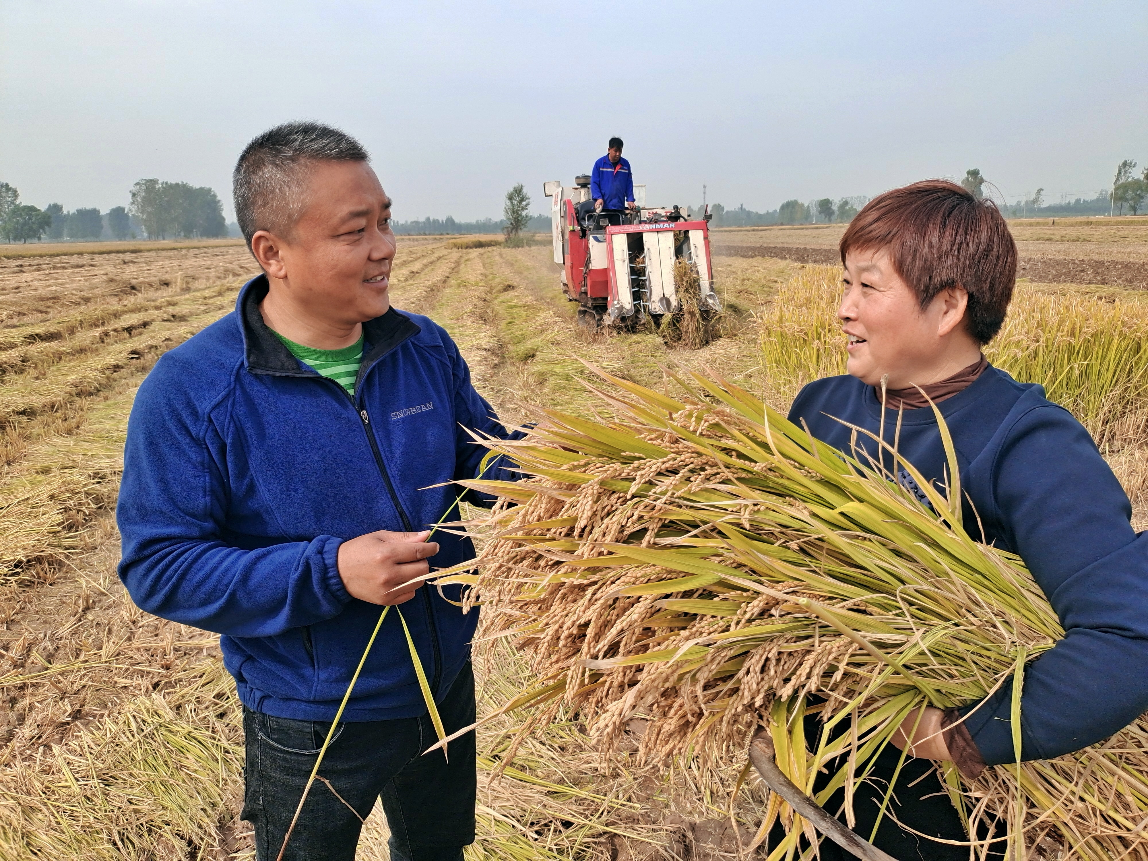 稻花飘香|【段双奇摄影作品】深秋时节看稻花飘香
