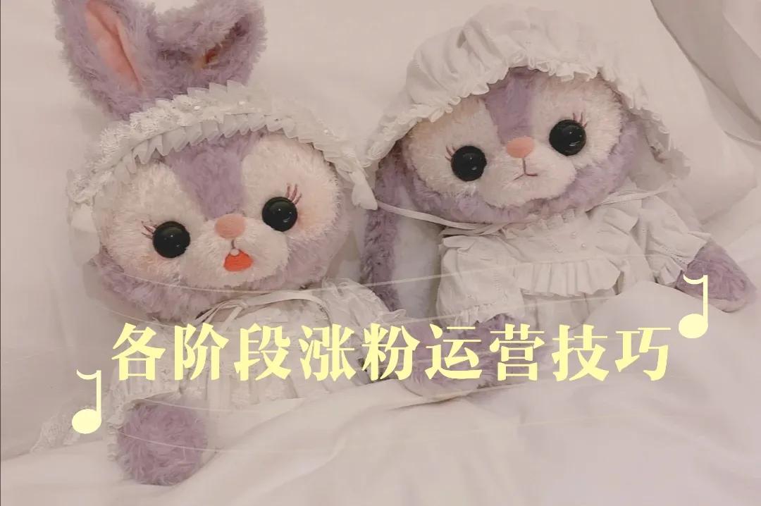 各个阶段的账号应该如何涨粉？学会这几招轻松涨粉，提高收益