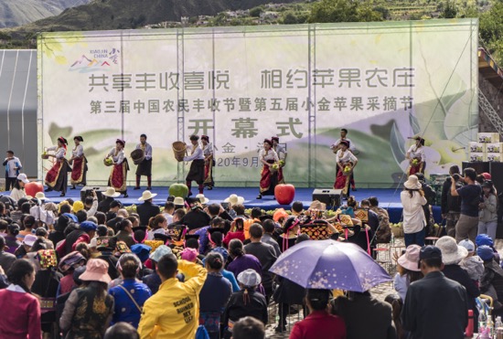 四川阿坝小金县举办第五届苹果采摘节