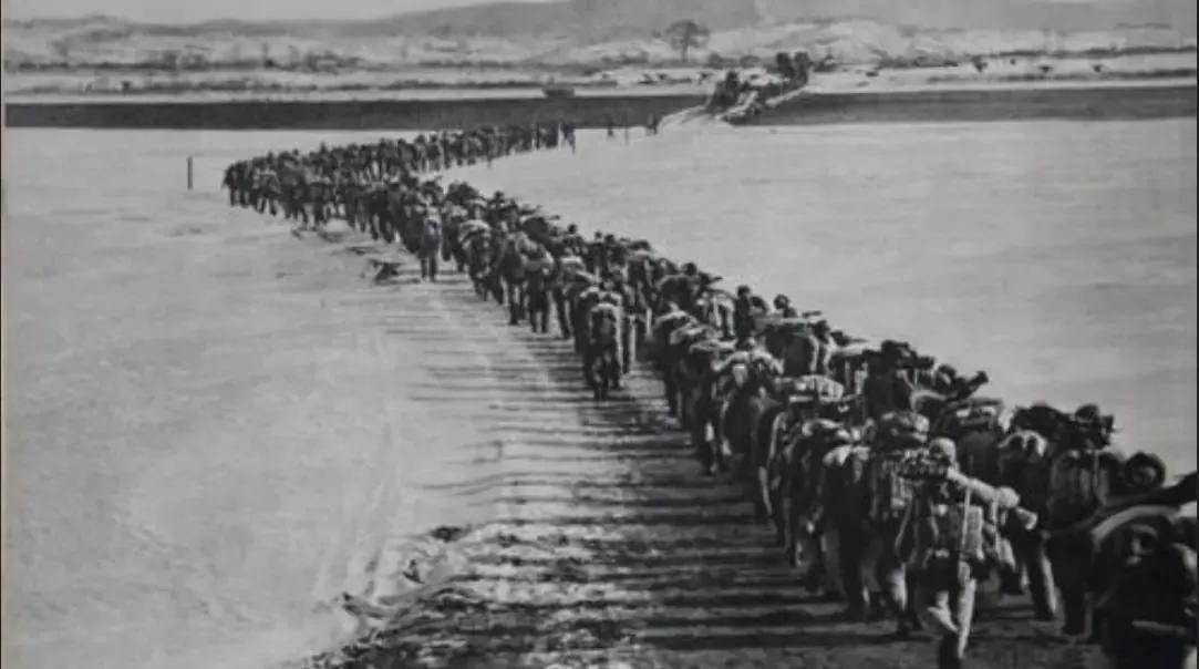 �����й�־Ը����50��������Ĺ��ﳯ�ʴ���̣�������7����