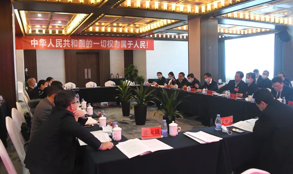 【图片新闻】市五届人大五次会议各代表团举行分组讨论