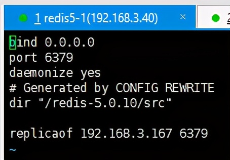 Redis5.0：简单的集群模式——主从模式详解 