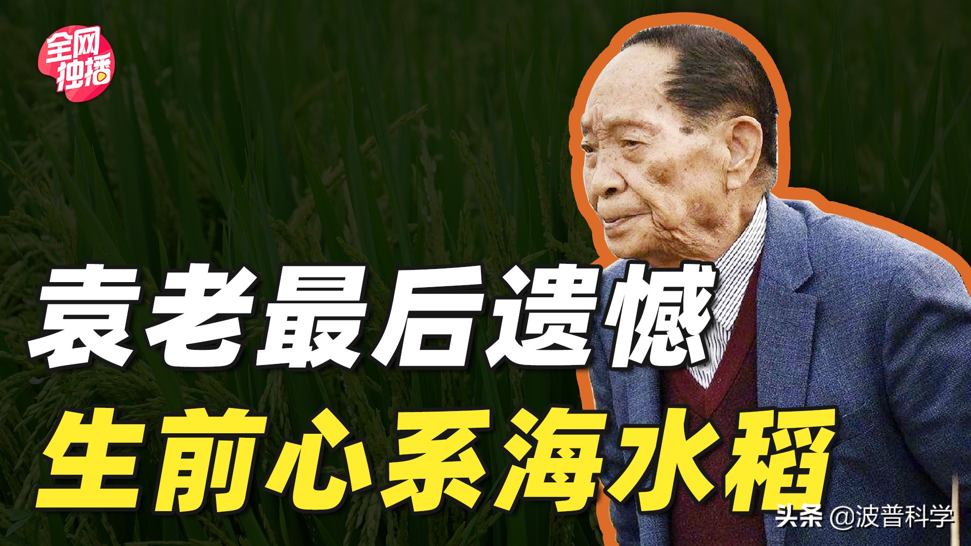 袁老最後的遺憾？荒灘變良田，真希望他活到2028年見證新成果
