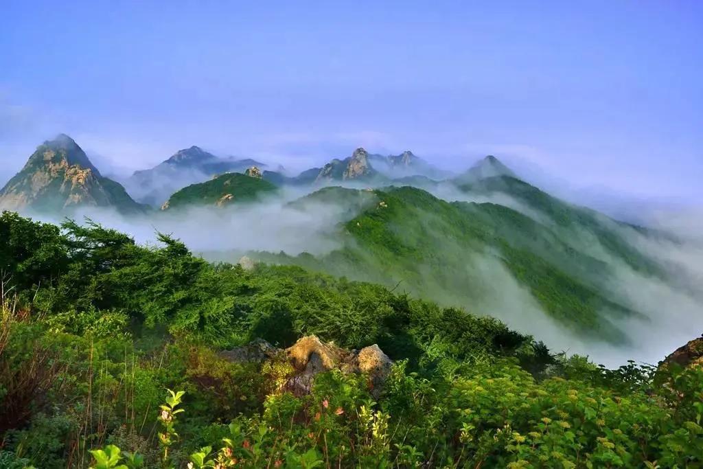 好客山东烟台先行！10大景区免费开放，赏美景尝海鲜，您心动吗？