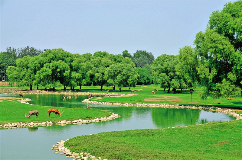 北京“最大湿地公园”走红，曾是皇家后花园，门票0元适合遛娃