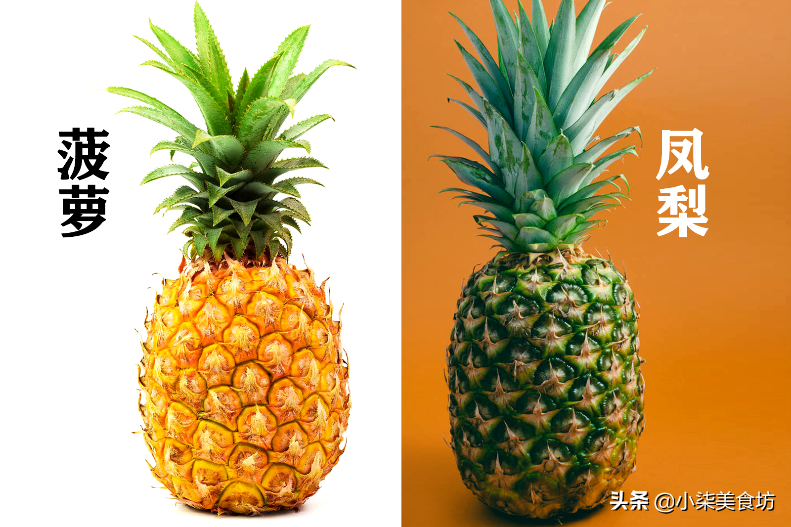 图片[3]-台湾凤梨滞销 每人吃18公斤 凤梨是啥 和菠萝有区别吗？-起舞食谱网