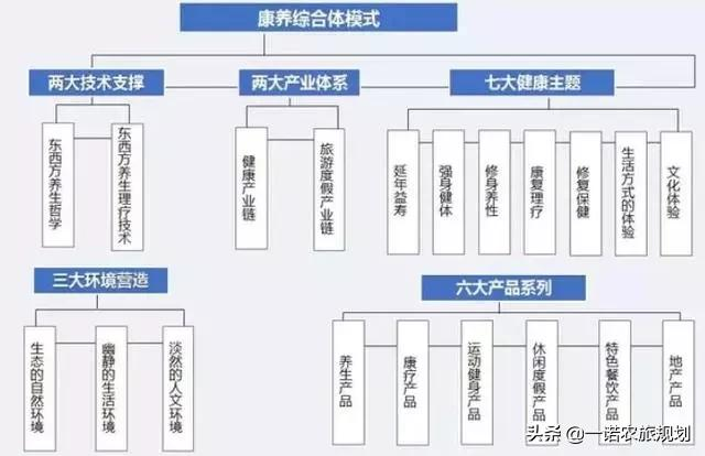 案例：乡村振兴项目政策和补贴