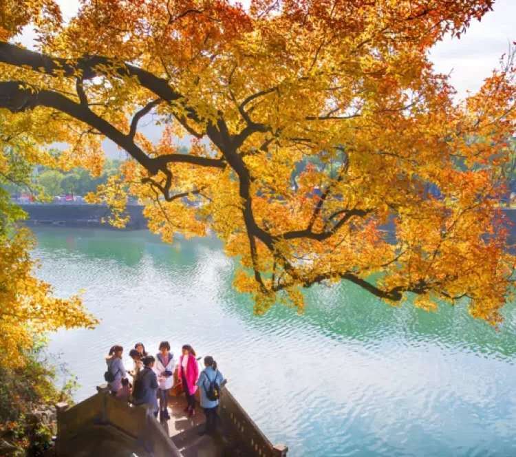 江南秋色去哪看？自駕這條盤山公路，帶你領(lǐng)略秋日最美風(fēng)光