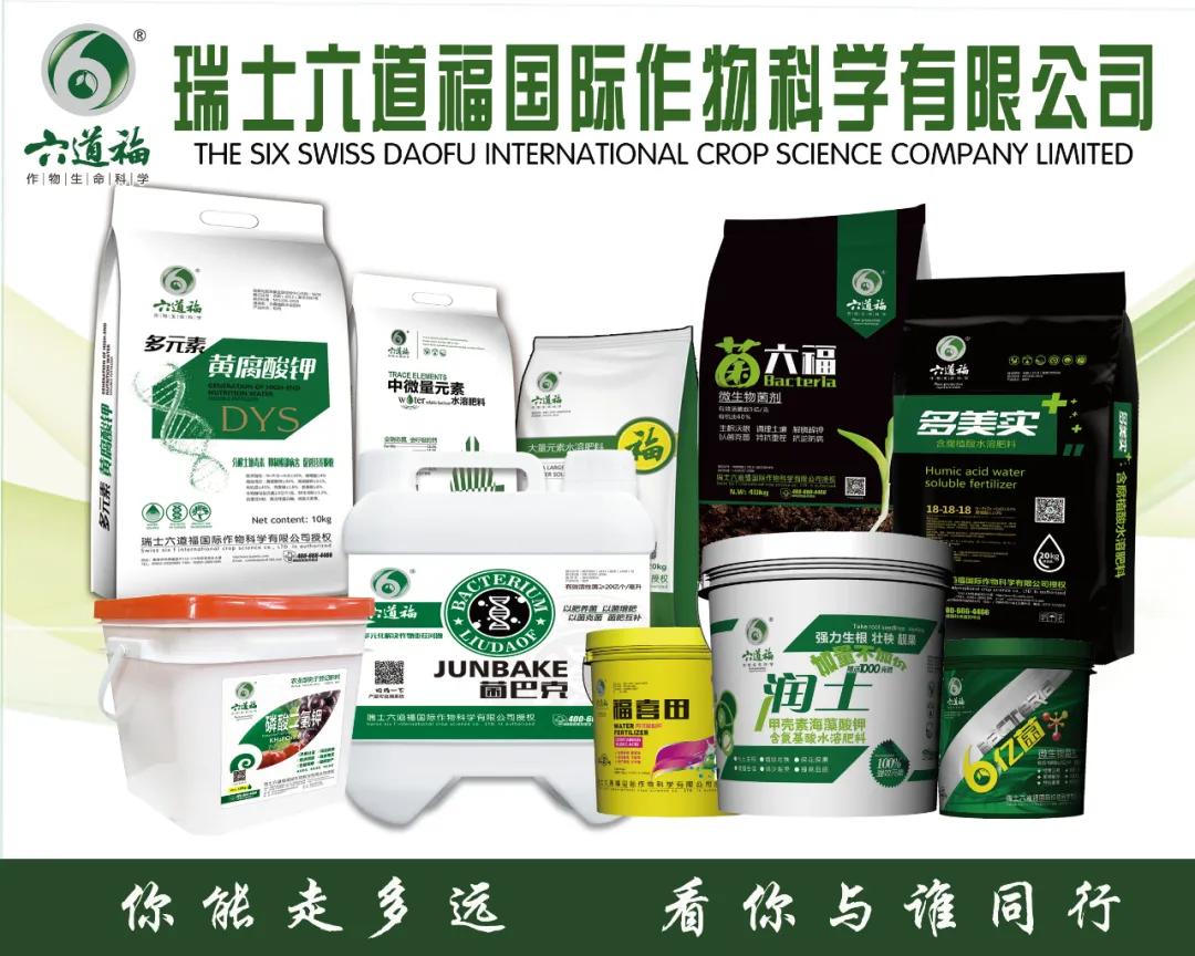 水溶肥主要的差別在哪里(一）