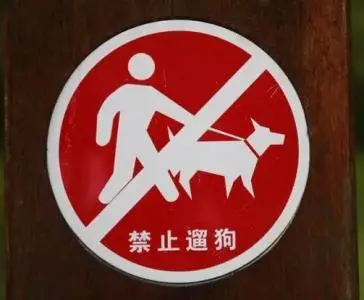 与你相关 地铁4号线年内运营 市级所有公园禁止犬只入内