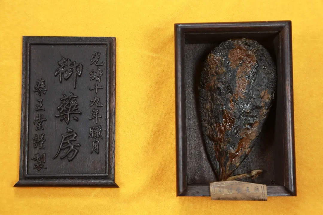 奇珍御宝！古中医药收藏展在厦开幕