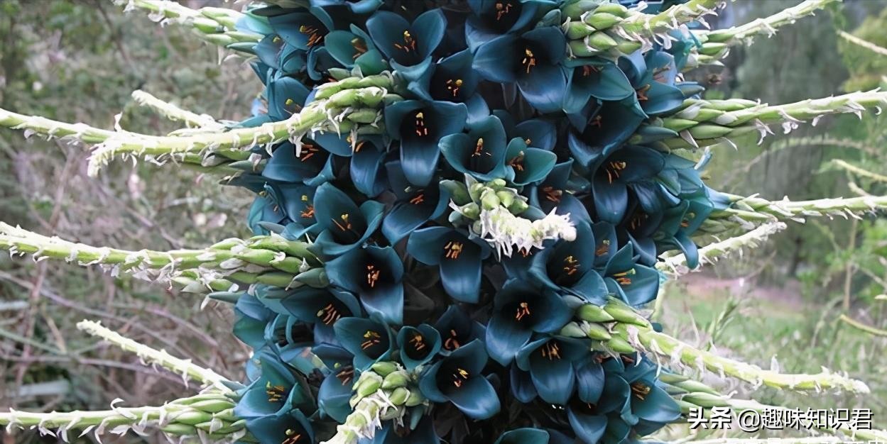 盤點那些有趣的自然小百科，你都知道多少呢？