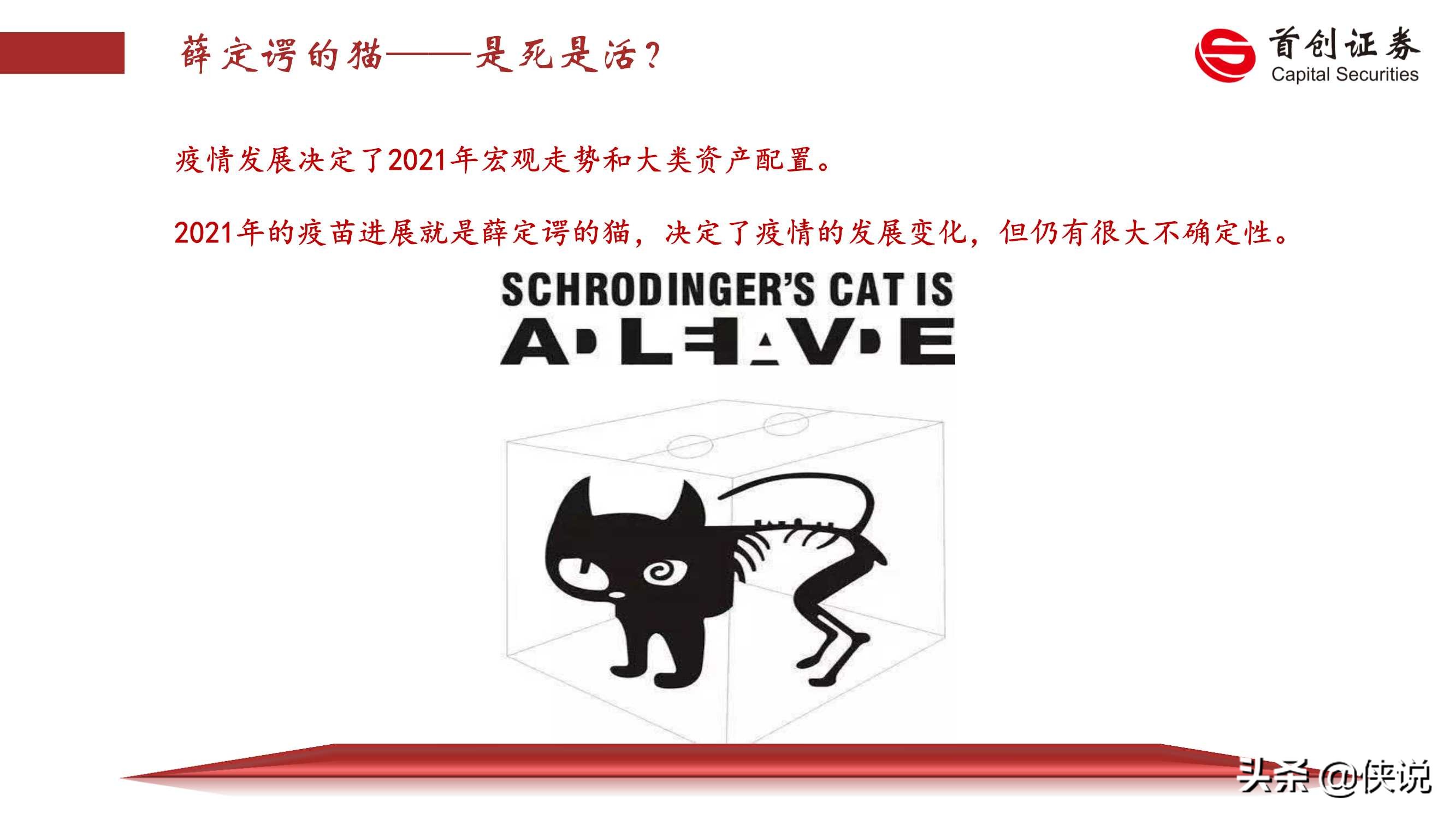 2021年宏观经济展望：薛定谔的猫（首创证券）