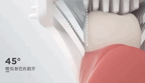 刷牙完全不用手？只需十几秒，360°无死角自动清