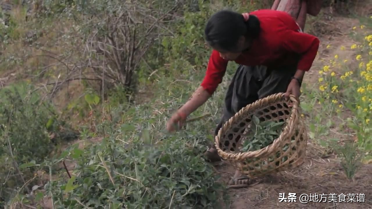 尼泊尔山区小姑娘大冬天摘野菜，回家还要煮饭炒菜，看着让人心疼