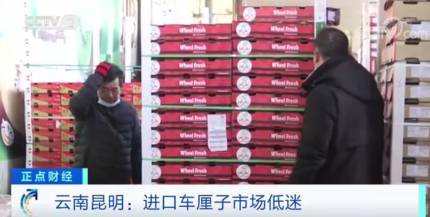 价格|浙江多地车厘子价格跳水 专家：这样吃才安全