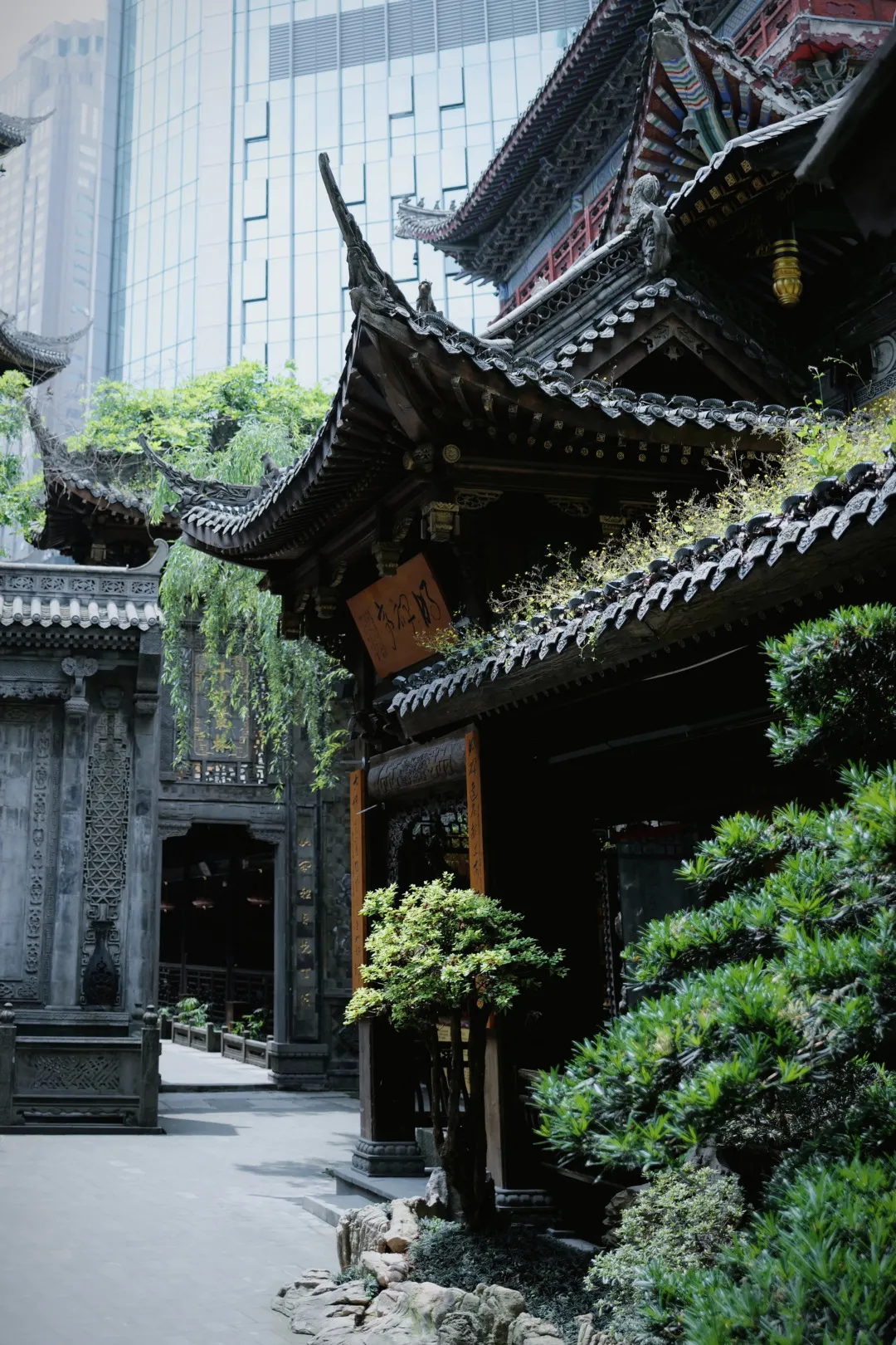 重庆旅游惊!竟然有人说重庆不适合旅游?