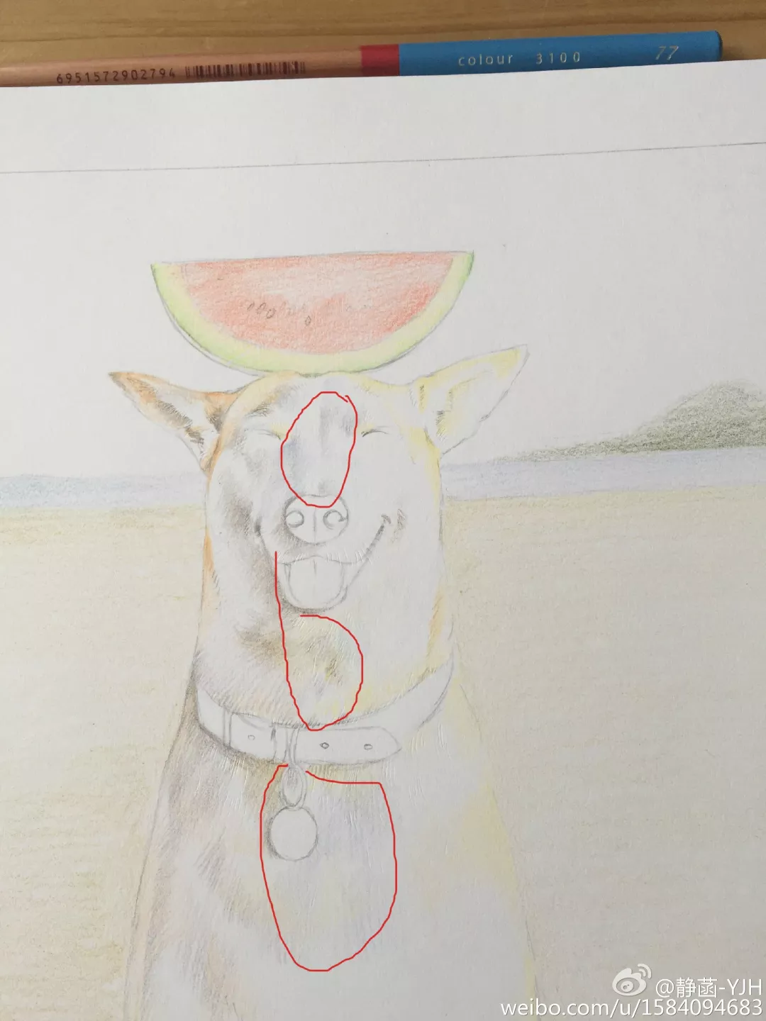 彩鉛動物入門教程｜可愛逗B狗(馬可帶色號)