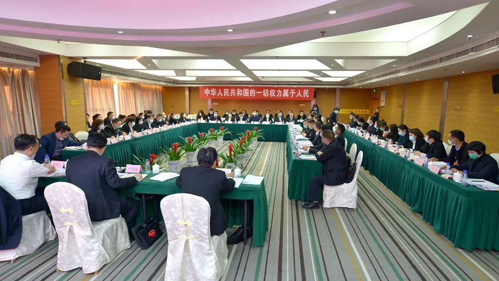 【图片新闻】市五届人大五次会议各代表团举行分组讨论