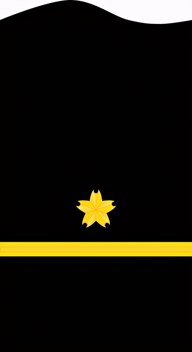 各国军衔标识：日本