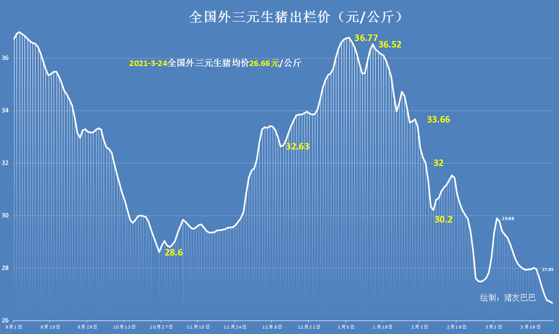 3月24日猪价大跌10.11元，玉米偏强走跌，蛋价要破4元？