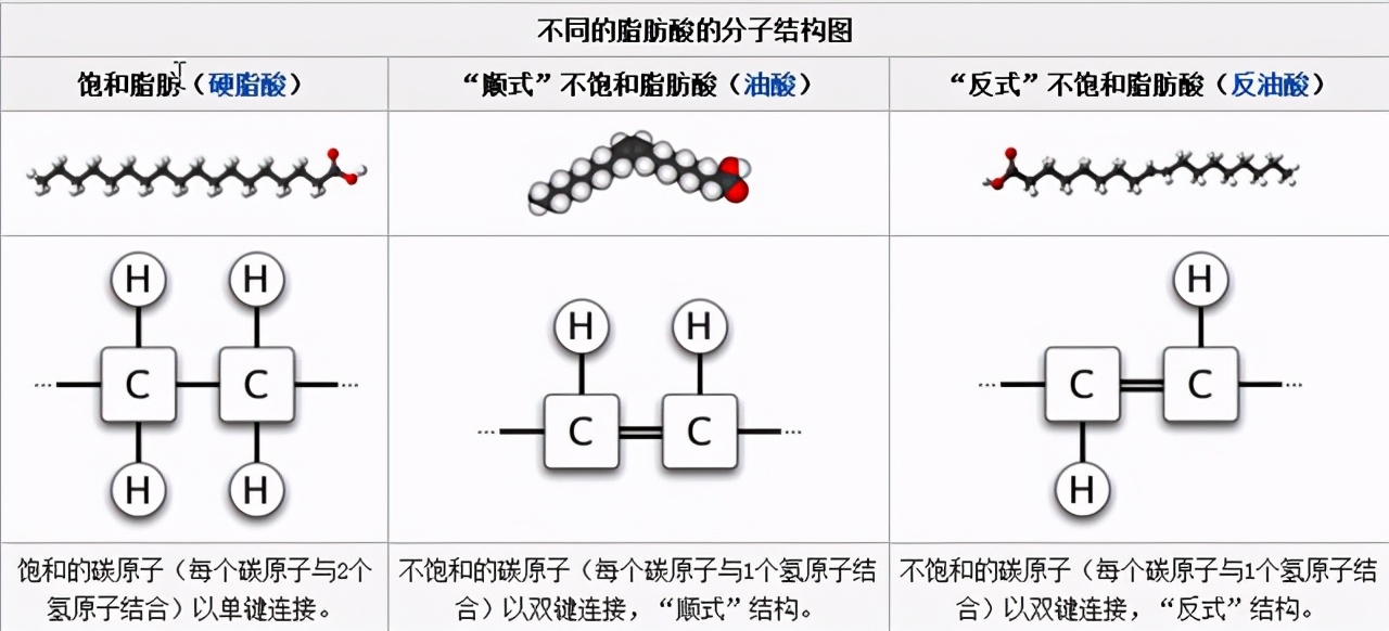 反式脂肪酸比膽固醇更傷血管，這類食品吃多，容易得心腦血管疾病