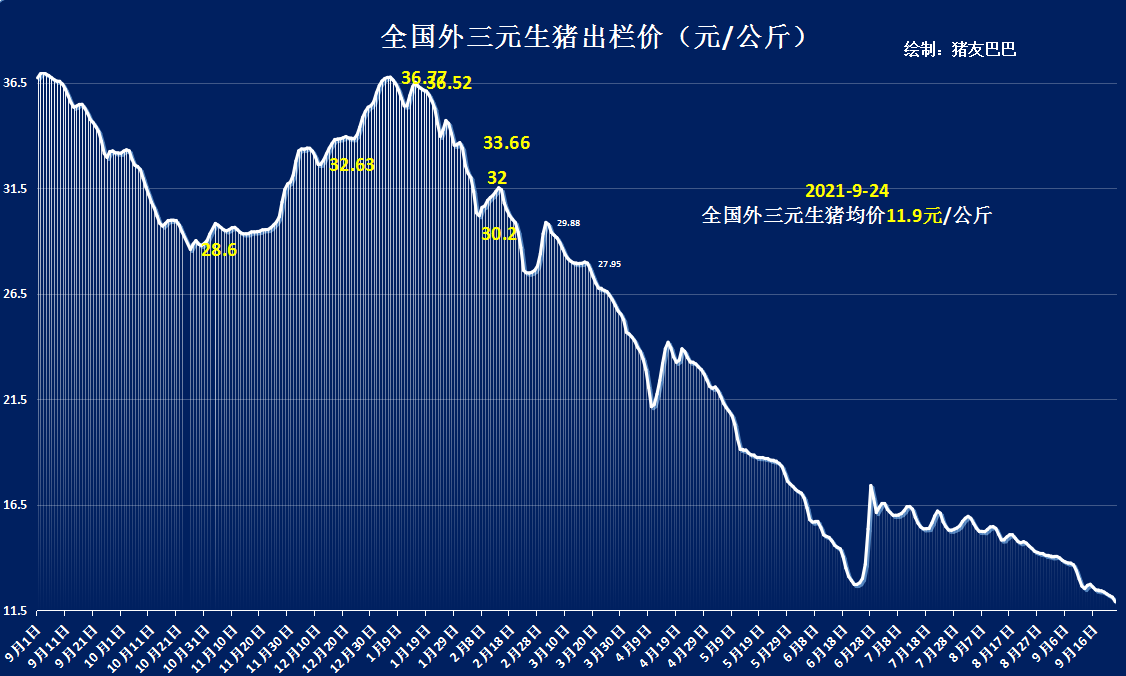 冰火两重天！9月24日，猪价南北“一片绿”，玉米价格逆势走强