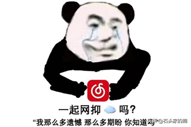 Netease cloud drives the dog that rip cruel, say the other side borroweds irrefutable evidence, patent documentation incongruous