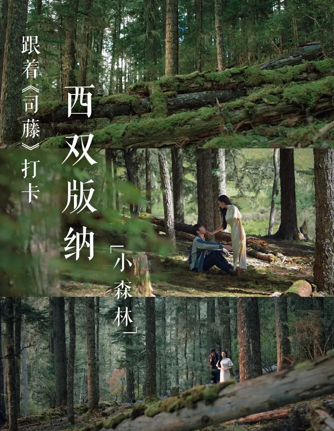 景甜新剧《司藤》取景地:全网刷屏神仙美照,都藏在这里