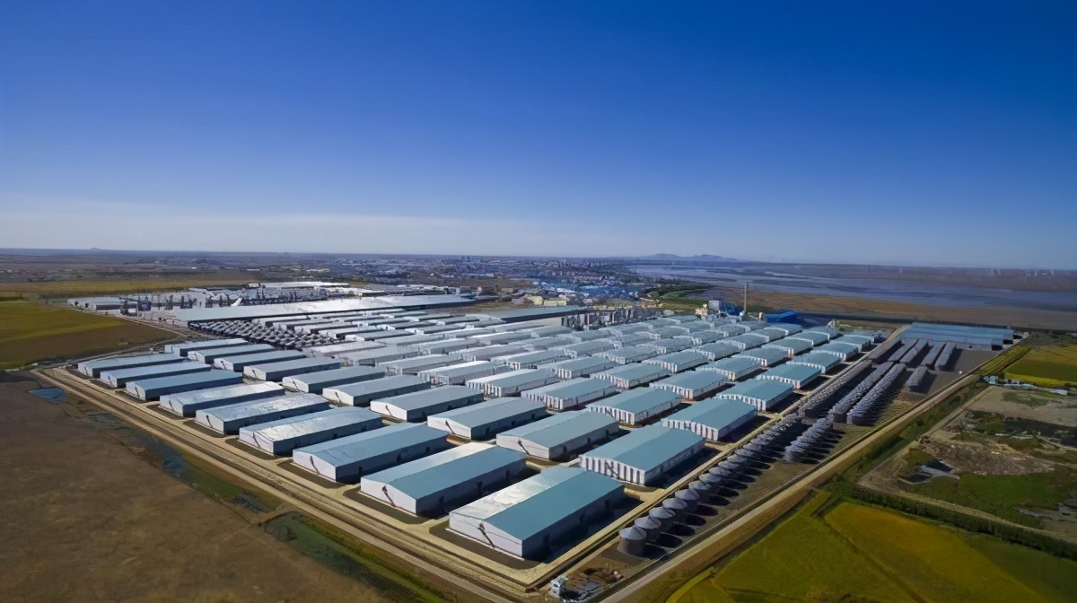 2020中国农业企业500强榜单发布 福建企业位列榜首