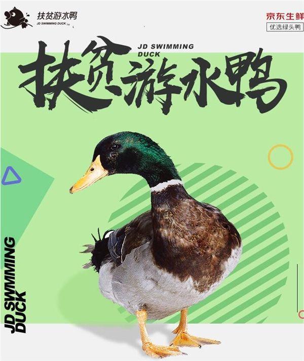 讀懂劉強東的鄉(xiāng)土情結(jié)，就讀懂了京東的扶貧之路