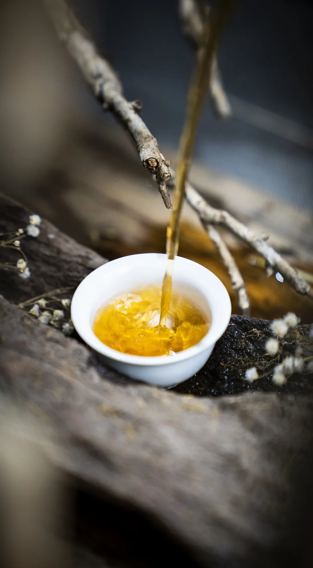 四月,用一杯茶打开春天的美