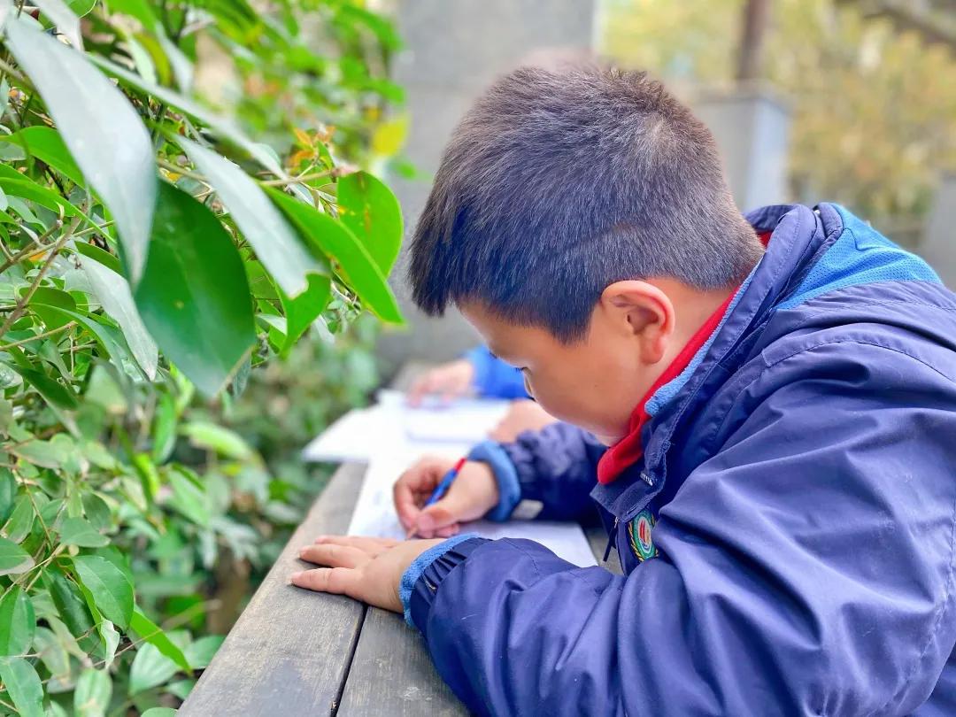 带上五官到校园里寻找春天——成都市华中附小大自然的语文课