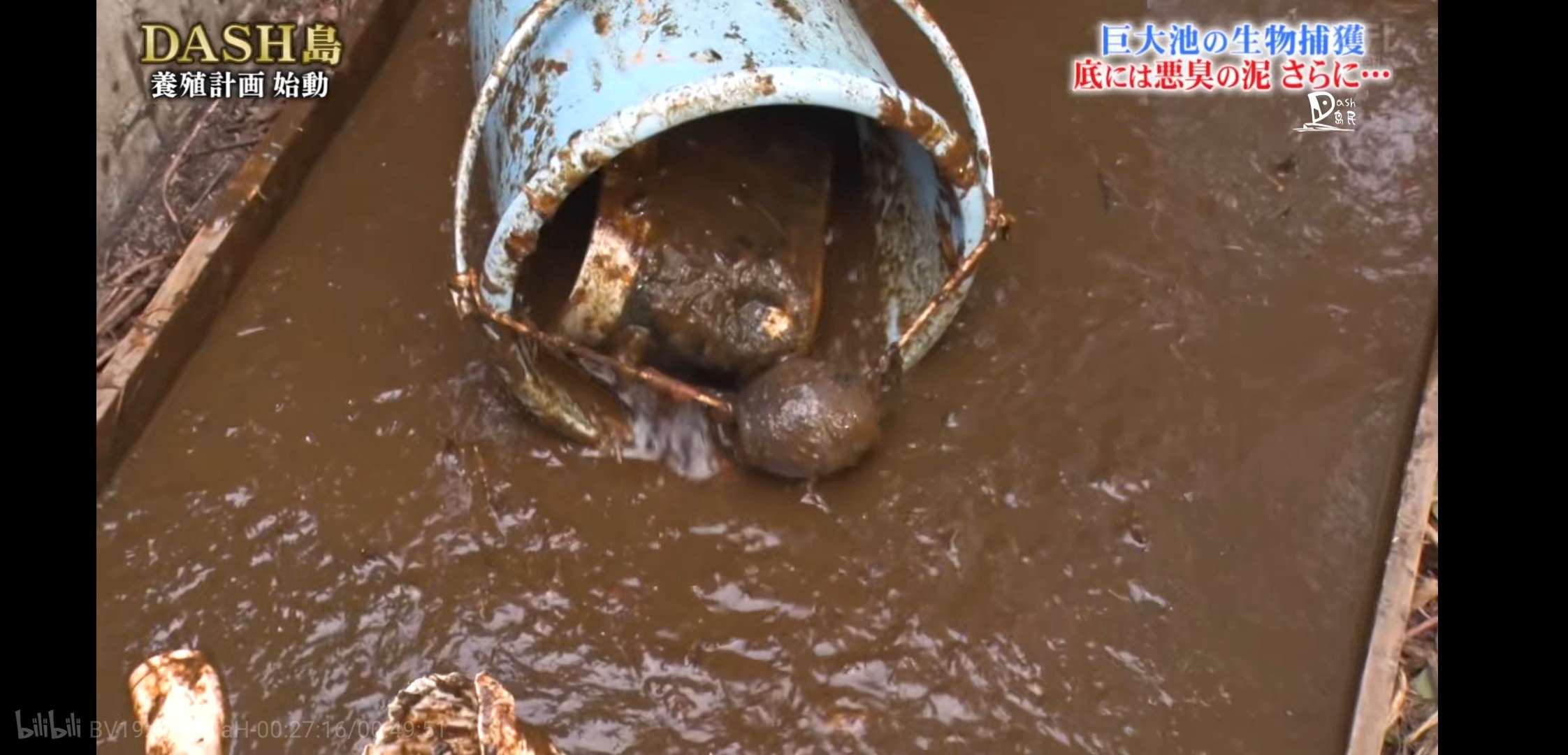 慎入！超恶心！看了这个日本综艺，我的晚饭都