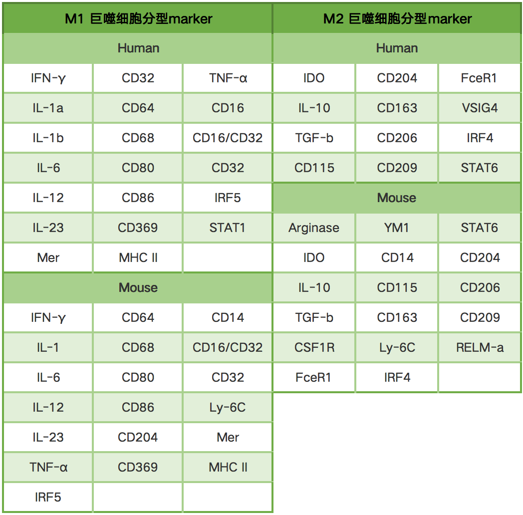 如何用流式检测巨噬细胞