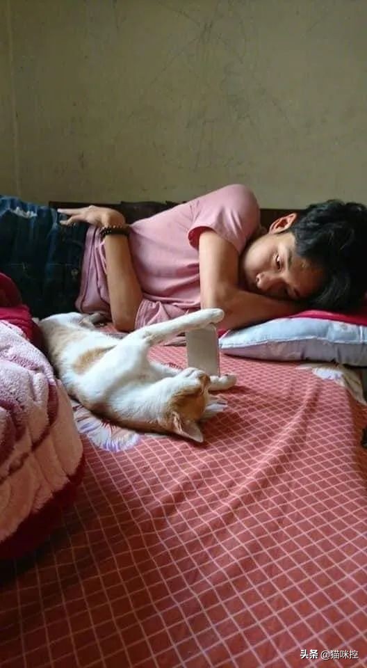 看劇時，貓在邊上睡覺，剛好沒有手機支架，於是選擇這麼做