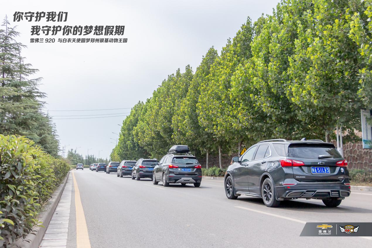 大河报汽车网