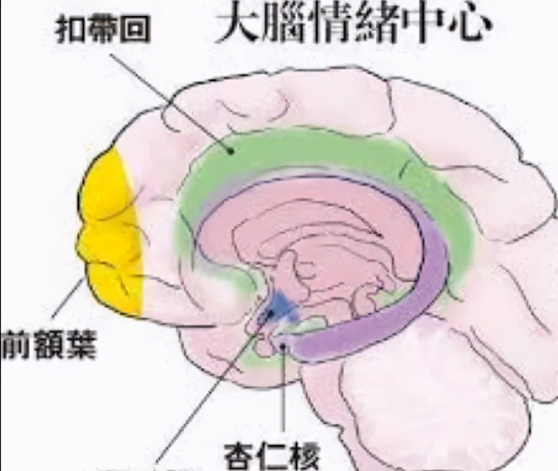 ��ɫ��Ů��ѧ�ҽ�����������