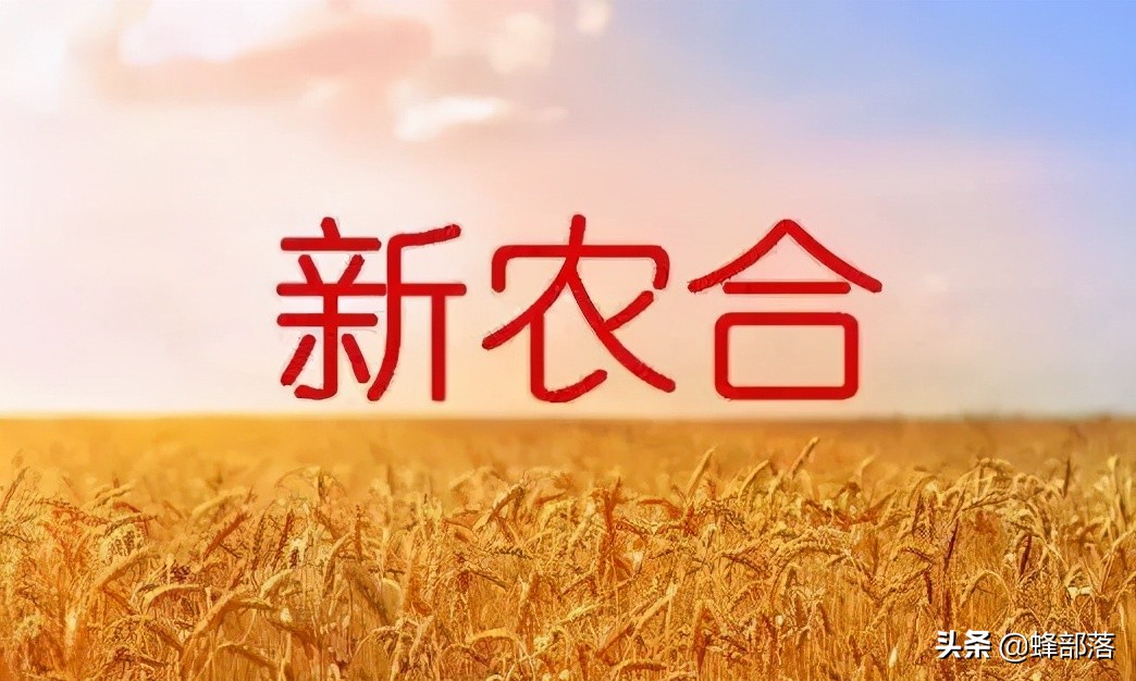 2022年农村医保9月开始缴费，2类人免交，3种缴费方式