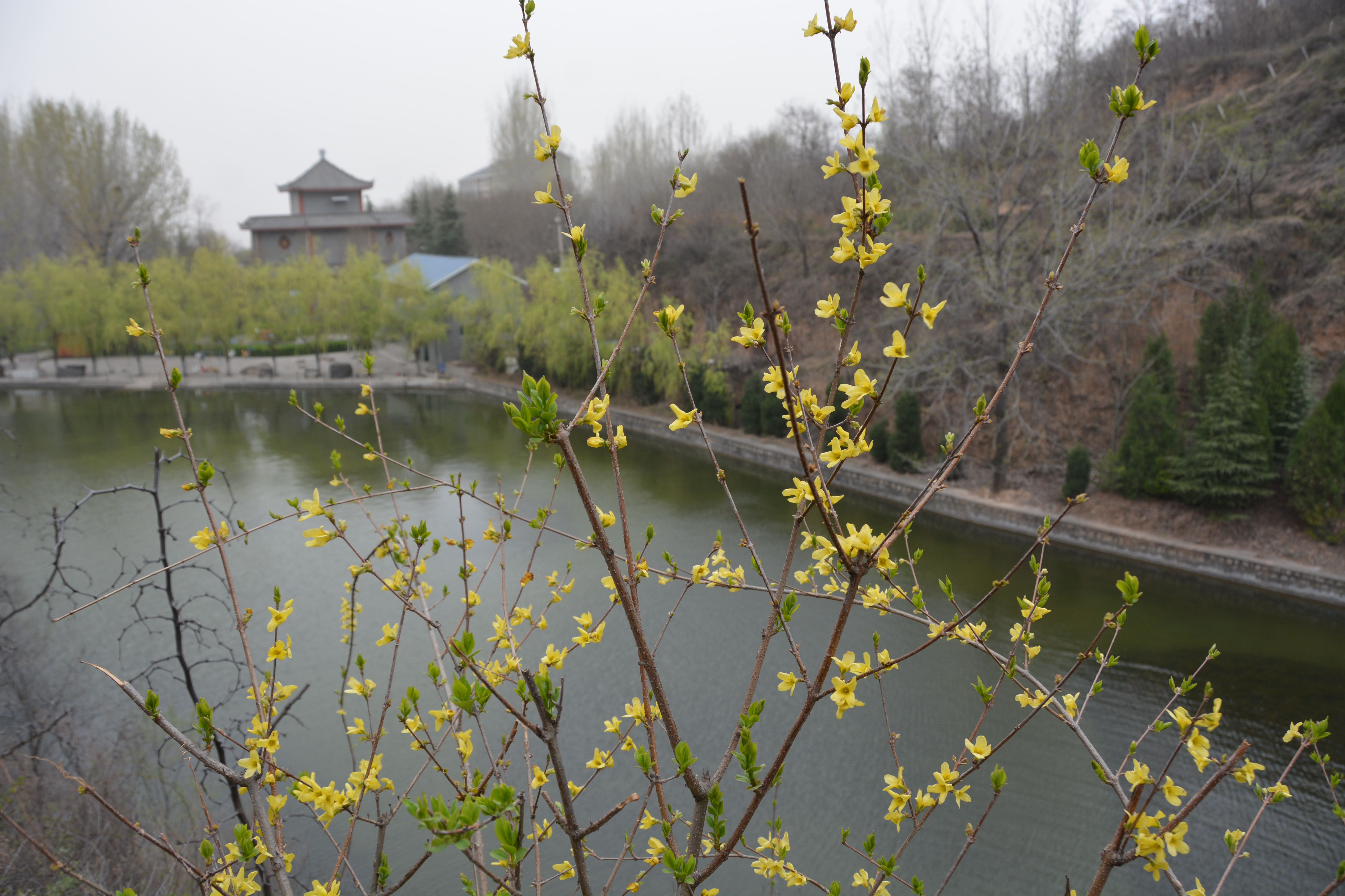 娘娘山景区2021向广大游客发出邀请~体验不一样的观瀑赏花节