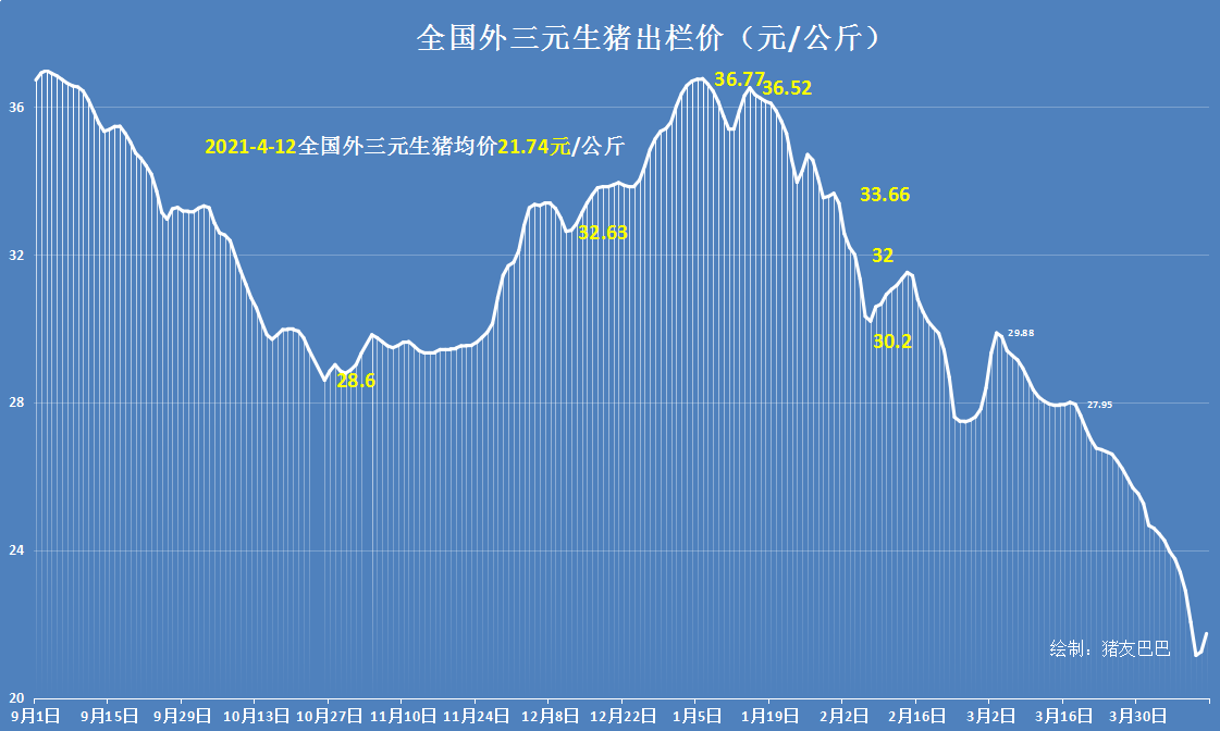 4月12日，24地猪价“飘红”，涨价潮板上钉钉，猪农：脱离苦海了