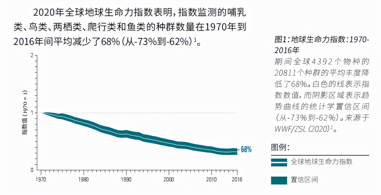 近一年多全球新增10种已灭绝动物，有的从发现到灭绝不到一年时间